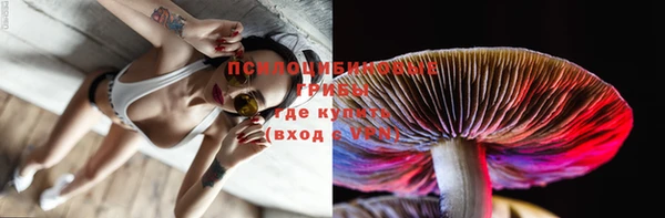 круглые Краснослободск