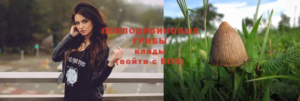 круглые Краснослободск