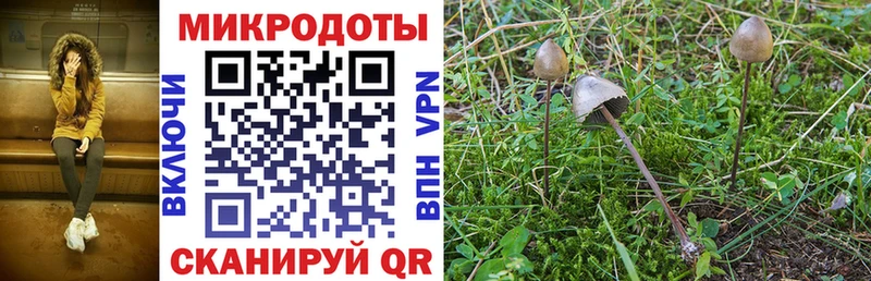 Купить где  Нальчик  Псилоцибиновые грибы ЛСД 